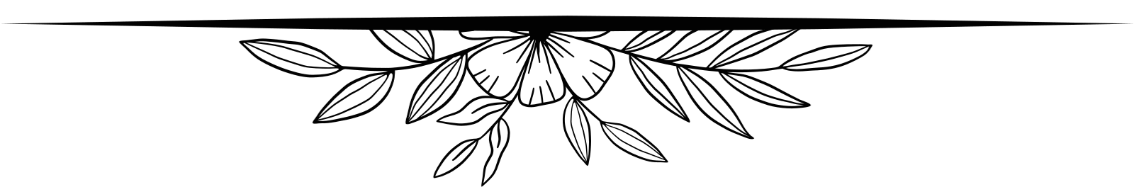 title-graphic-black-bottom